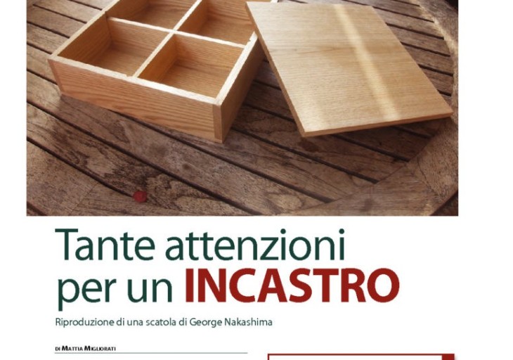 thumbnail of art-dig-54-Tante attenzioni per un incastro