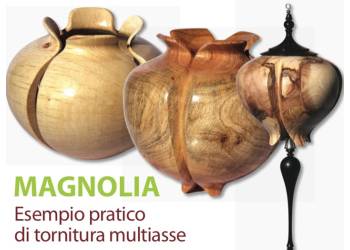 fai da te-Magnolia. Un esempio di tornitura multiasse